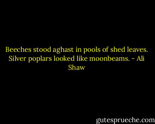 Beeches stood aghast in pools of shed leaves. Silver poplars looked like moonbeams. - Ali Shaw