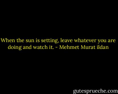 When the sun is setting, leave whatever you are doing and watch it. - Mehmet Murat ildan