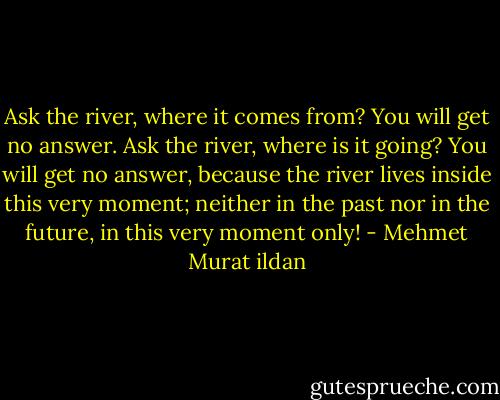 Ask the river, where it comes from? You will get no answer. Ask the river, where is it going? You will get no answer, because the river lives inside this very moment; neither in the past nor in the future, in this very moment only! - Mehmet Murat ildan