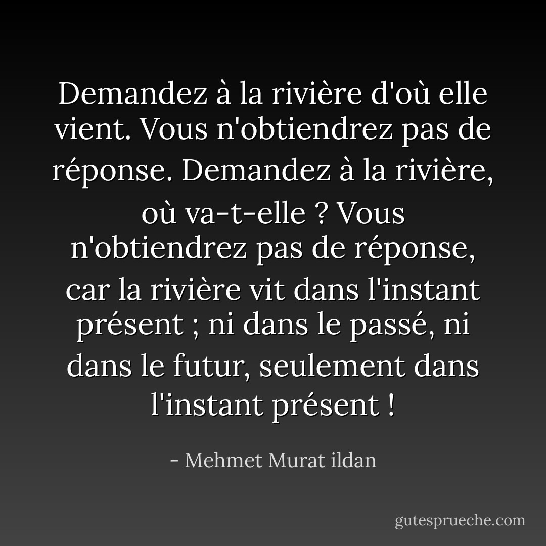 Demandez à la rivière d'où elle vient. Vous n'obtiendrez pas de réponse. Demandez à la rivière, où va-t-elle ? Vous n'obtiendrez pas de réponse, car la rivière vit dans l'instant présent ; ni dans le passé, ni dans le futur, seulement dans l'instant présent ! - Mehmet Murat ildan