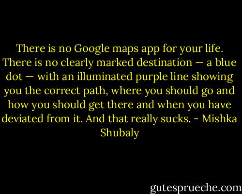 There is no Google maps app for your life. There is no clearly marked destination — a blue dot — with an illuminated purple line showing you the correct path, where you should go and how you should get there and when you have deviated from it. And that really sucks. - Mishka Shubaly