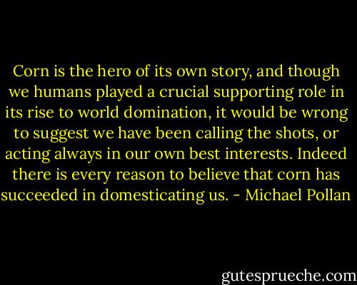 Corn is the hero of its own story, and though we humans played a crucial supporting role in its rise to world domination, it would be wrong to suggest we have been calling the shots, or acting always in our own best interests. Indeed there is every reason to believe that corn has succeeded in domesticating us. - Michael Pollan
