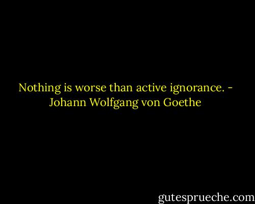 Nothing is worse than active ignorance. - Johann Wolfgang von Goethe