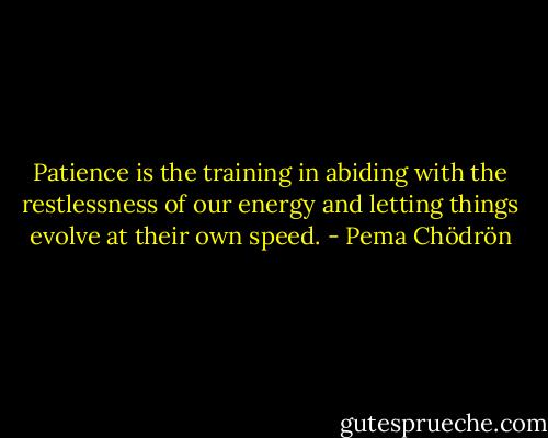 Patience is the training in abiding with the restlessness of our energy and letting things evolve at their own speed. - Pema Chödrön