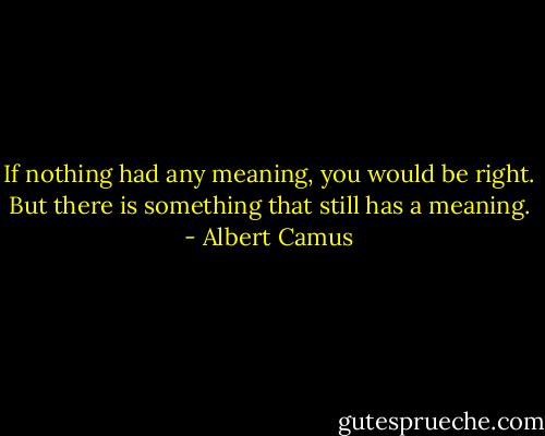 If nothing had any meaning, you would be right. But there is something that still has a meaning. - Albert Camus