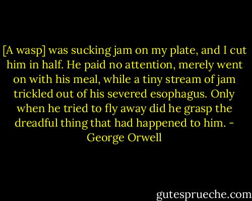 [A wasp] was sucking jam on my plate, and I cut him in half. He paid no attention, merely went on with his meal, while a tiny stream of jam trickled out of his severed esophagus. Only when he tried to fly away did he grasp the dreadful thing that had happened to him. - George Orwell