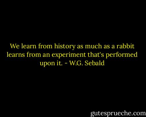 We learn from history as much as a rabbit learns from an experiment that's performed upon it. - W.G. Sebald