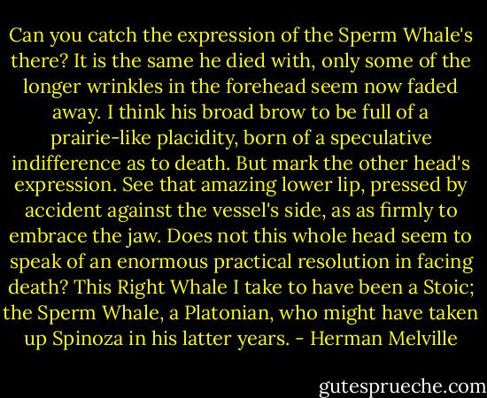 Can you catch the expression of the Sperm Whale's there? It is the same he died with, only some of the longer wrinkles in the forehead seem now faded away. I think his broad brow to be full of a prairie-like placidity, born of a speculative indifference as to death. But mark the other head's expression. See that amazing lower lip, pressed by accident against the vessel's side, as as firmly to embrace the jaw. Does not this whole head seem to speak of an enormous practical resolution in facing death? This Right Whale I take to have been a Stoic; the Sperm Whale, a Platonian, who might have taken up Spinoza in his latter years. - Herman Melville