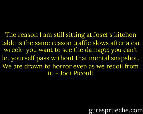 The reason I am still sitting at Josef's kitchen table is the same reason traffic slows after a car wreck- you want to see the damage; you can't let yourself pass without that mental snapshot. We are drawn to horror even as we recoil from it. - Jodi Picoult