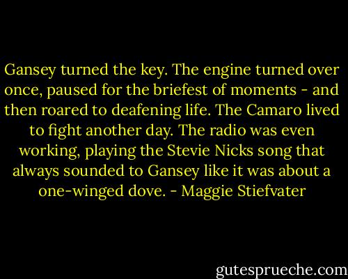 Gansey turned the key. The engine turned over once, paused for the briefest of moments - and then roared to deafening life. The Camaro lived to fight another day. The radio was even working, playing the Stevie Nicks song that always sounded to Gansey like it was about a one-winged dove. - Maggie Stiefvater