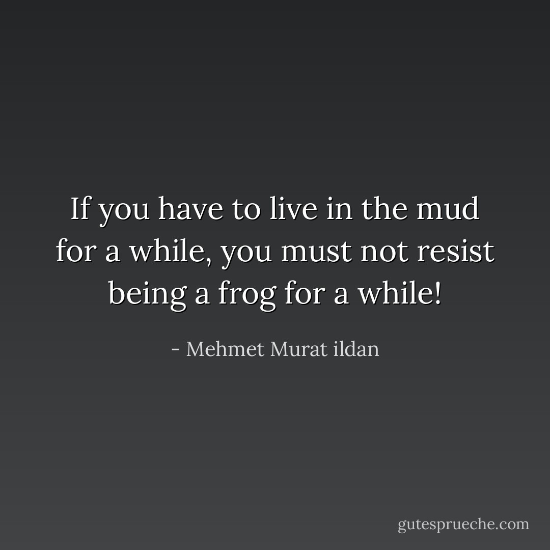 If you have to live in the mud for a while, you must not resist being a frog for a while! - Mehmet Murat ildan