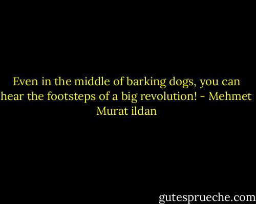 Even in the middle of barking dogs, you can hear the footsteps of a big revolution! - Mehmet Murat ildan