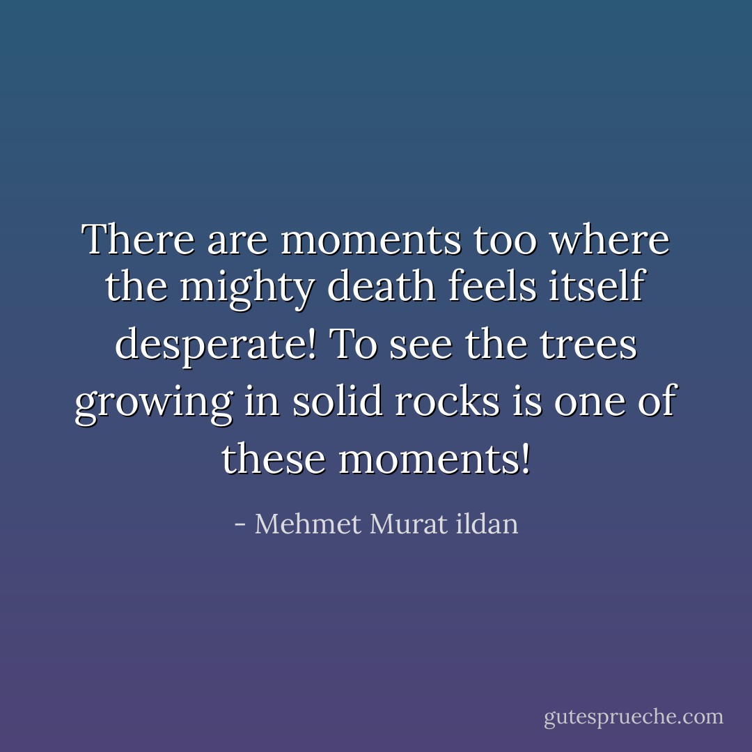 There are moments too where the mighty death feels itself desperate! To see the trees growing in solid rocks is one of these moments! - Mehmet Murat ildan