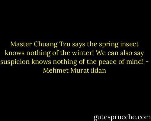Master Chuang Tzu says the spring insect knows nothing of the winter! We can also say suspicion knows nothing of the peace of mind! - Mehmet Murat ildan