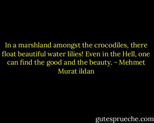 In a marshland amongst the crocodiles, there float beautiful water lilies! Even in the Hell, one can find the good and the beauty. - Mehmet Murat ildan