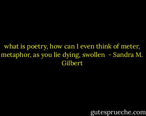 what is poetry, how can I even think of meter, metaphor, as you lie dying, swollen  - Sandra M. Gilbert