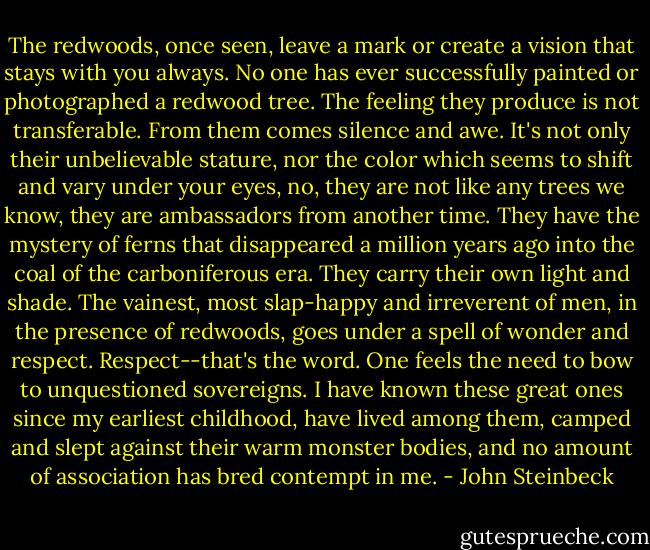 The redwoods, once seen, leave a mark or create a vision that stays with you always. No one has ever successfully painted or photographed a redwood tree. The feeling they produce is not transferable. From them comes silence and awe. It's not only their unbelievable stature, nor the color which seems to shift and vary under your eyes, no, they are not like any trees we know, they are ambassadors from another time. They have the mystery of ferns that disappeared a million years ago into the coal of the carboniferous era. They carry their own light and shade. The vainest, most slap-happy and irreverent of men, in the presence of redwoods, goes under a spell of wonder and respect. Respect--that's the word. One feels the need to bow to unquestioned sovereigns. I have known these great ones since my earliest childhood, have lived among them, camped and slept against their warm monster bodies, and no amount of association has bred contempt in me. - John Steinbeck