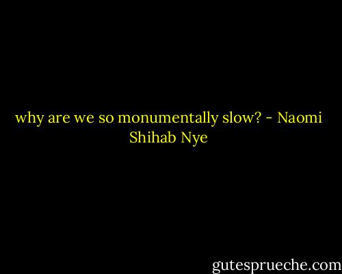 why are we so monumentally slow? - Naomi Shihab Nye