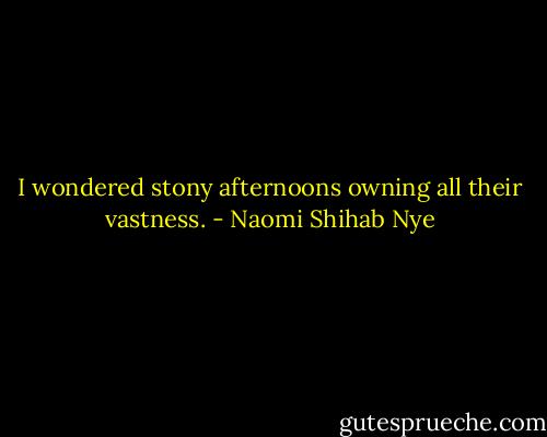 I wondered stony afternoons owning all their vastness. - Naomi Shihab Nye