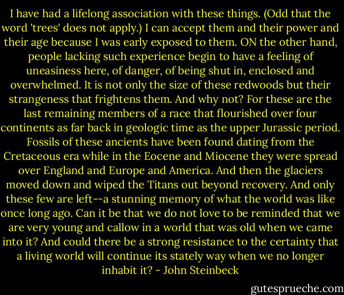I have had a lifelong association with these things. (Odd that the word 'trees' does not apply.) I can accept them and their power and their age because I was early exposed to them. ON the other hand, people lacking such experience begin to have a feeling of uneasiness here, of danger, of being shut in, enclosed and overwhelmed. It is not only the size of these redwoods but their strangeness that frightens them. And why not? For these are the last remaining members of a race that flourished over four continents as far back in geologic time as the upper Jurassic period. Fossils of these ancients have been found dating from the Cretaceous era while in the Eocene and Miocene they were spread over England and Europe and America. And then the glaciers moved down and wiped the Titans out beyond recovery. And only these few are left--a stunning memory of what the world was like once long ago. Can it be that we do not love to be reminded that we are very young and callow in a world that was old when we came into it? And could there be a strong resistance to the certainty that a living world will continue its stately way when we no longer inhabit it? - John Steinbeck