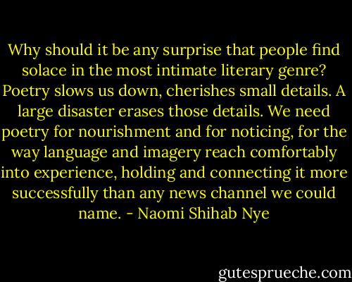 Why should it be any surprise that people find solace in the most intimate literary genre? Poetry slows us down, cherishes small details. A large disaster erases those details. We need poetry for nourishment and for noticing, for the way language and imagery reach comfortably into experience, holding and connecting it more successfully than any news channel we could name. - Naomi Shihab Nye