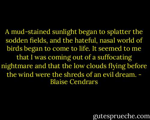 A mud-stained sunlight began to splatter the sodden fields, and the hateful, nasal world of birds began to come to life. It seemed to me that I was coming out of a suffocating nightmare and that the low clouds flying before the wind were the shreds of an evil dream. - Blaise Cendrars