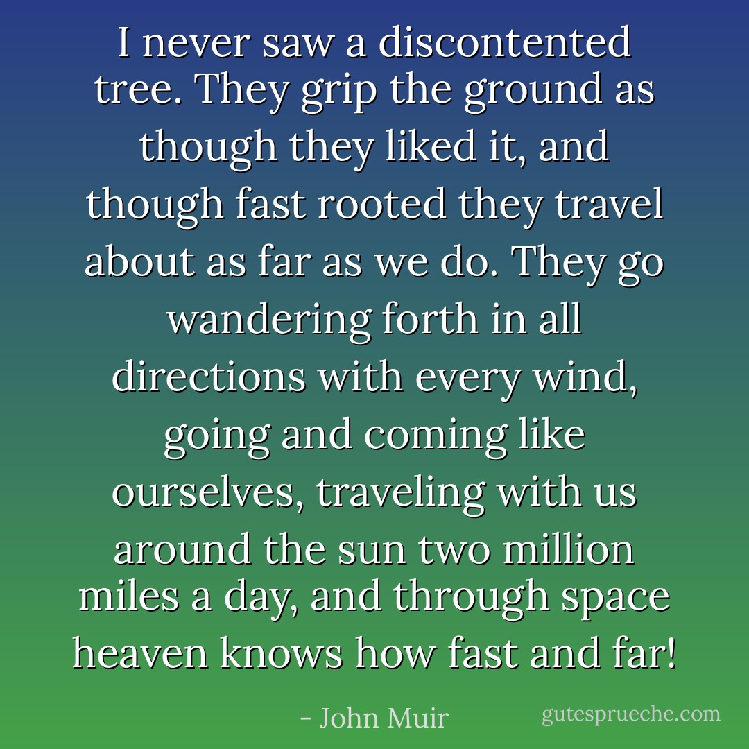 I never saw a discontented tree. They grip the ground as though they liked it, and though fast rooted they travel about as far as we do. They go wandering forth in all directions with every wind, going and coming like ourselves, traveling with us around the sun two million miles a day, and through space heaven knows how fast and far! - John Muir