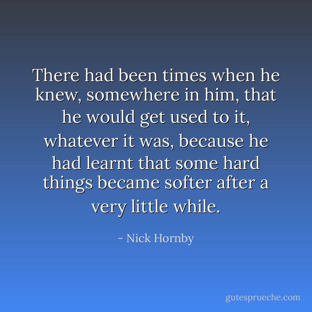 There had been times when he knew, somewhere in him, that he would get used to it, whatever it was, because he had learnt that some hard things became softer after a very little while. - Nick Hornby