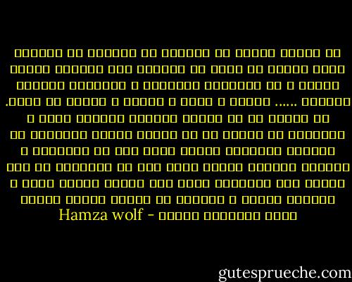 ان تكوني محجبة او متبرجة لا يهمني، ان تلبسين لباس فضفاض او شفاف لا يضرني، لست بحجابك عفيفة شريفة و لا بتنورتك القصيرة و سيجارتك متحررة متحضرة ...... عفافك و شرفك و حريتك و تحضرك في عقلك.<br />ما يهمني هو ان تكوني واعية، مثقفة، قوية و مستقلة، ما يضرني هو ان تكوني ضعيفة مستعبدة لا تجيدين استعمال عقلك، لانك انت من ستنجبين و ستربين مغاربة الغد، فاذا كنت لا تساهمين في هذا البلد الا بارتفاع نسله على الاقل اتقني عملك و اكمليه للاخر و لقينهم ان تاسيس مجتمع متحضر يبدا باحترام نسائه - Hamza wolf