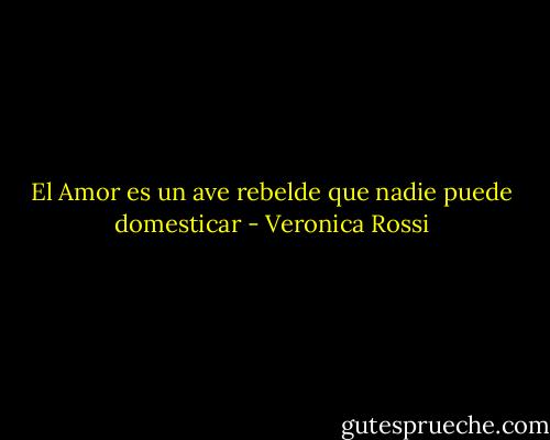 El Amor es un ave rebelde que nadie puede domesticar - Veronica Rossi