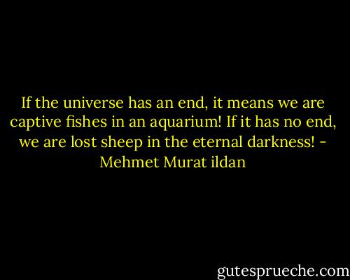 If the universe has an end, it means we are captive fishes in an aquarium! If it has no end, we are lost sheep in the eternal darkness! - Mehmet Murat ildan