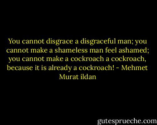 You cannot disgrace a disgraceful man; you cannot make a shameless man feel ashamed; you cannot make a cockroach a cockroach, because it is already a cockroach! - Mehmet Murat ildan