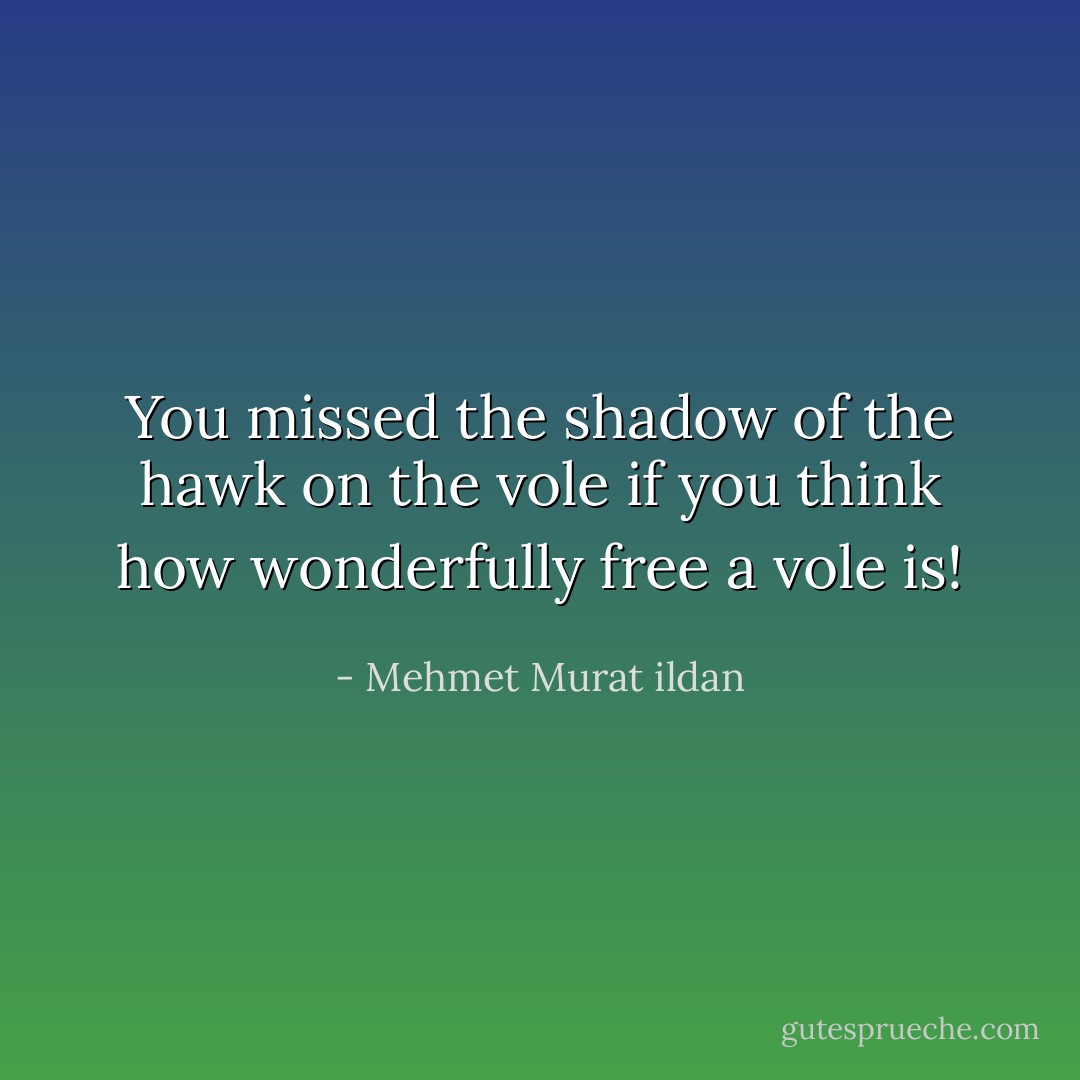 You missed the shadow of the hawk on the vole if you think how wonderfully free a vole is! - Mehmet Murat ildan