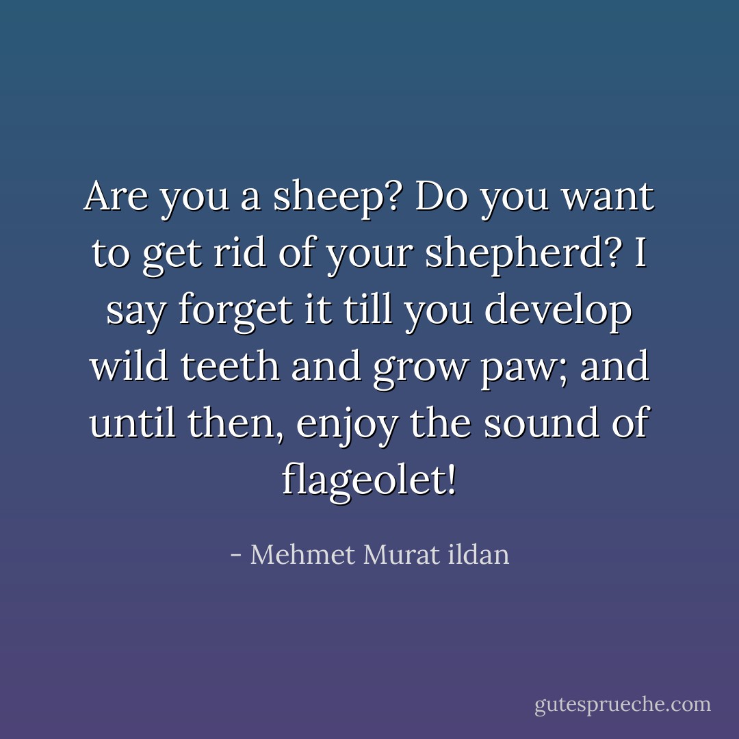 Are you a sheep? Do you want to get rid of your shepherd? I say forget it till you develop wild teeth and grow paw; and until then, enjoy the sound of flageolet! - Mehmet Murat ildan