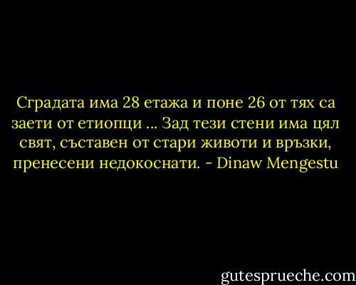 Сградата има 28 етажа и поне 26 от тях са заети от етиопци ... Зад тези стени има цял свят, съставен от стари животи и връзки, пренесени недокоснати. - Dinaw Mengestu