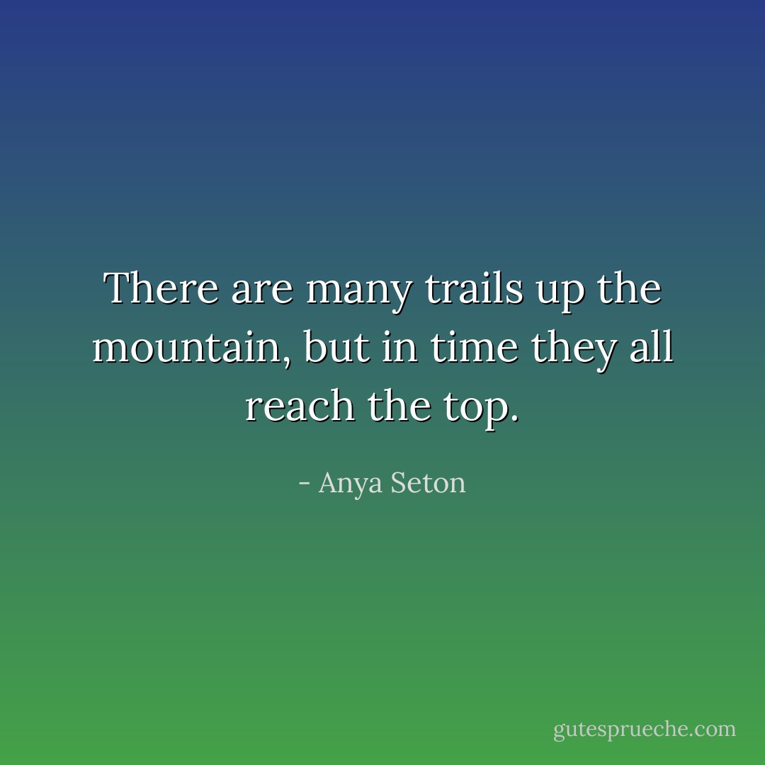 There are many trails up the mountain, but in time they all reach the top. - Anya Seton