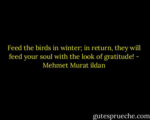 Feed the birds in winter; in return, they will feed your soul with the look of gratitude! - Mehmet Murat ildan