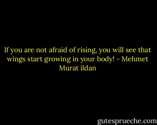 If you are not afraid of rising, you will see that wings start growing in your body! - Mehmet Murat ildan