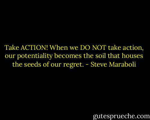 Take ACTION! When we DO NOT take action, our potentiality becomes the soil that houses the seeds of our regret. - Steve Maraboli