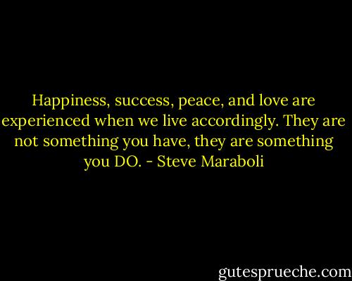 Happiness, success, peace, and love are experienced when we live accordingly. They are not something you have, they are something you DO. - Steve Maraboli