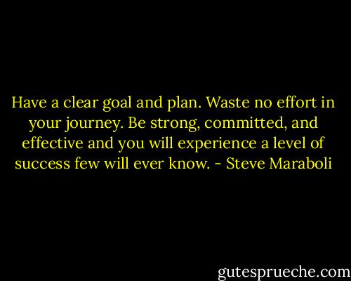 Have a clear goal and plan. Waste no effort in your journey. Be strong, committed, and effective and you will experience a level of success few will ever know. - Steve Maraboli