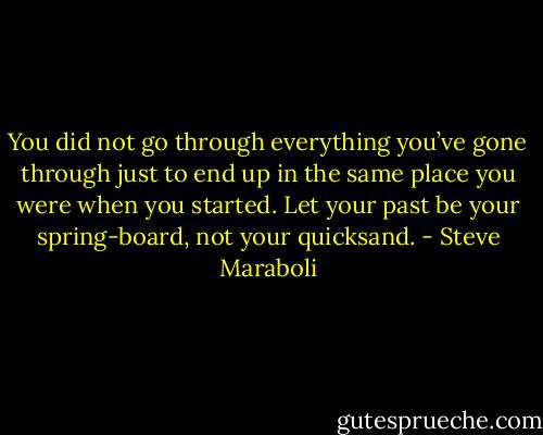 You did not go through everything you’ve gone through just to end up in the same place you were when you started. Let your past be your spring-board, not your quicksand. - Steve Maraboli