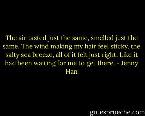 The air tasted just the same, smelled just the same. The wind making my hair feel sticky, the salty sea breeze, all of it felt just right. Like it had been waiting for me to get there. - Jenny Han