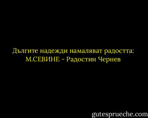 Дългите надежди намаляват радостта: М.СЕВИНЕ - Радостин Чернев