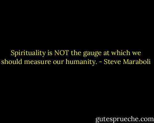 Spirituality is NOT the gauge at which we should measure our humanity. - Steve Maraboli