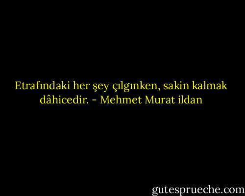 Etrafındaki her şey çılgınken, sakin kalmak dâhicedir. - Mehmet Murat ildan