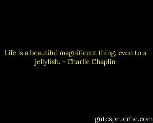 Life is a beautiful magnificent thing, even to a jellyfish. - Charlie Chaplin