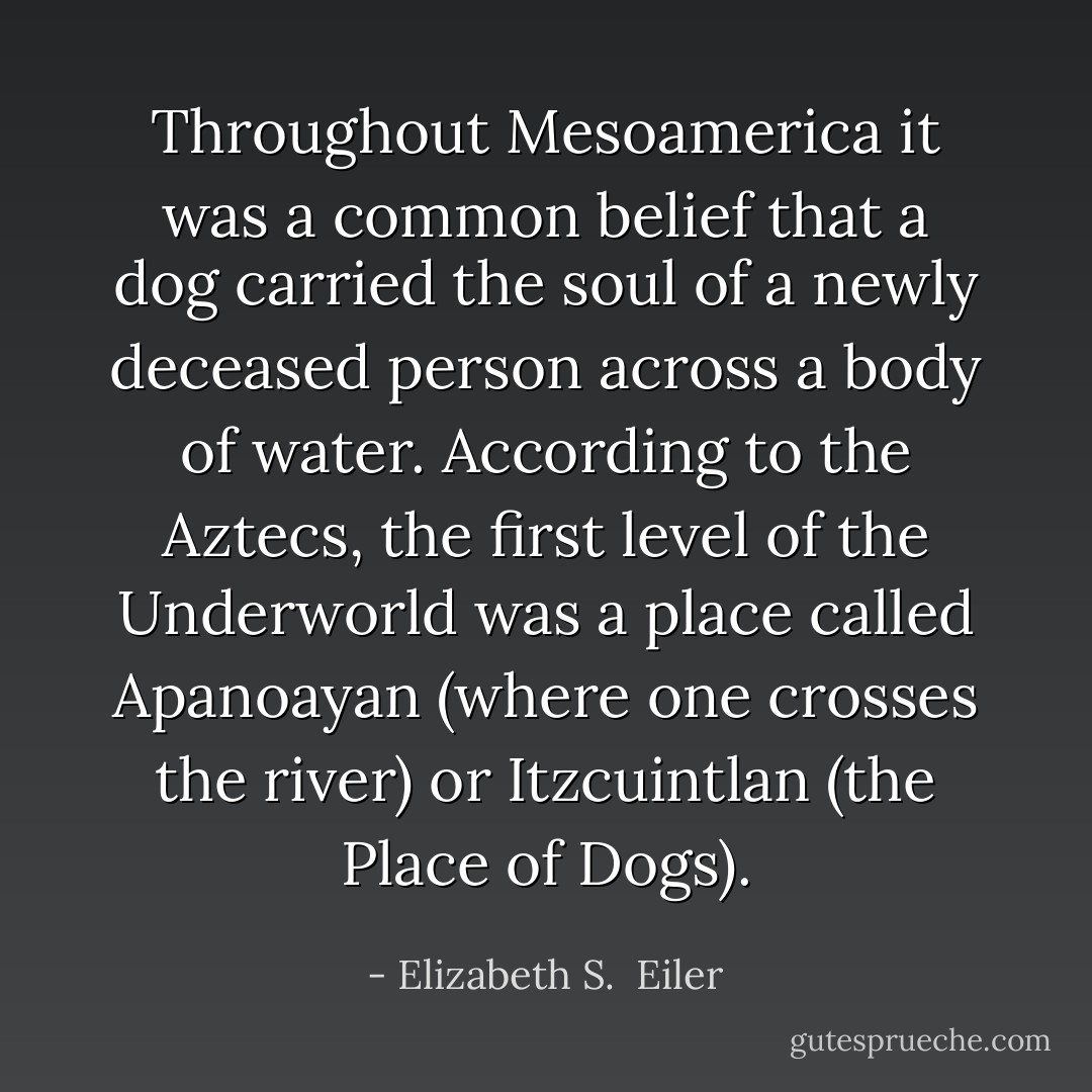 Throughout Mesoamerica it was a common belief that a dog carried the soul of a newly deceased person across a body of water. According to the Aztecs, the first level of the Underworld was a place called Apanoayan (where one crosses the river) or Itzcuintlan (the Place of Dogs). - Elizabeth S.  Eiler