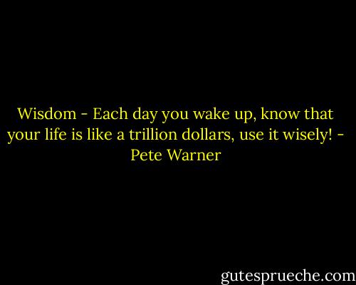 Wisdom - Each day you wake up, know that your life is like a trillion dollars, use it wisely! - Pete Warner
