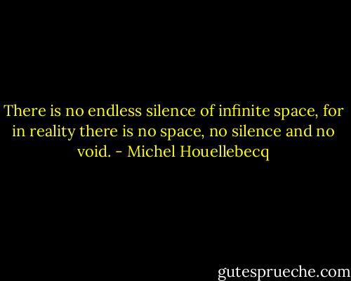 There is no endless silence of infinite space, for in reality there is no space, no silence and no void. - Michel Houellebecq